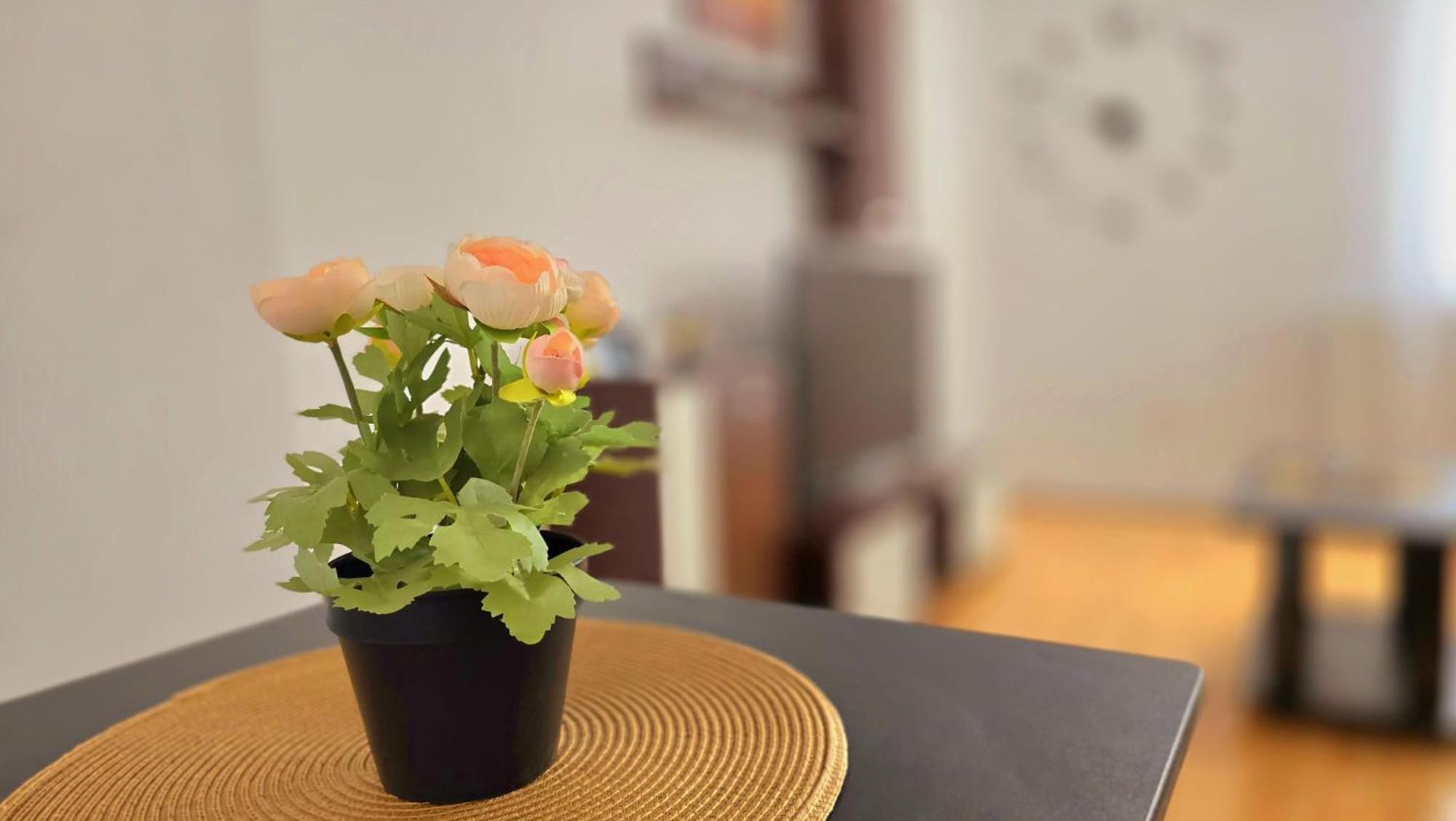 Apartament Confort Hd Хунедоара Экстерьер фото